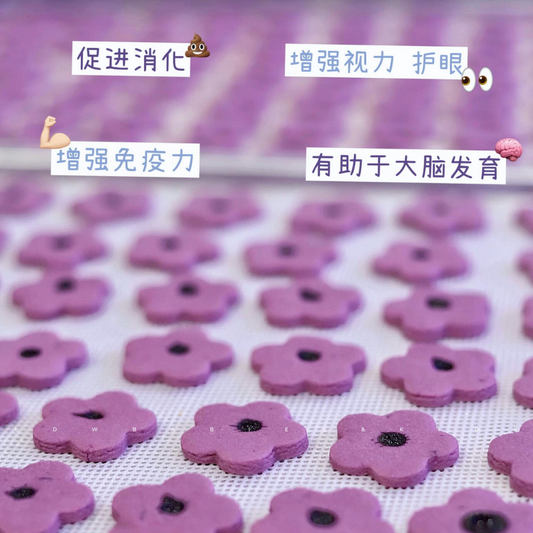 蓝莓小花酥 Blueberry Flower Cookie