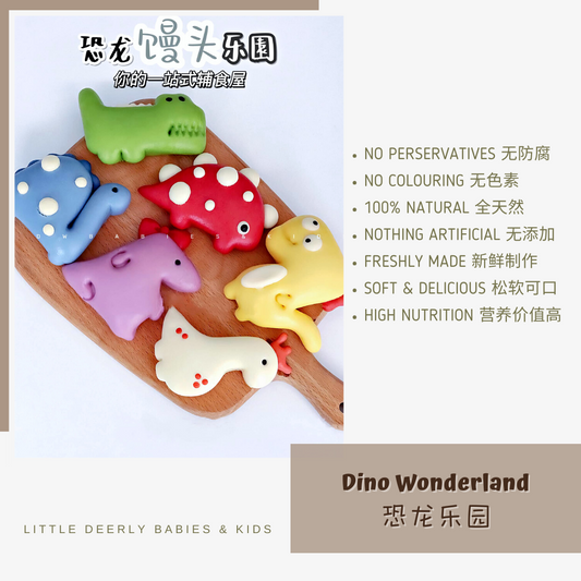 恐龙乐园 Dino Wonderland